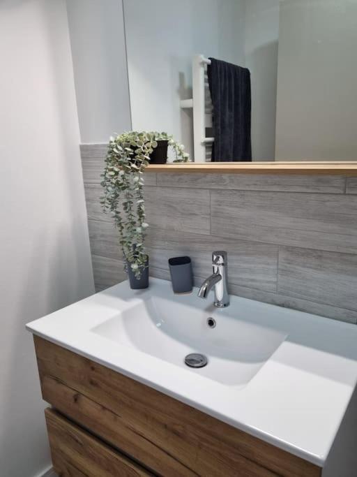 Les Bains A 1km De La Apartment